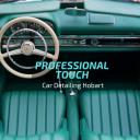Professional Touch Car Detailing Hobart logo